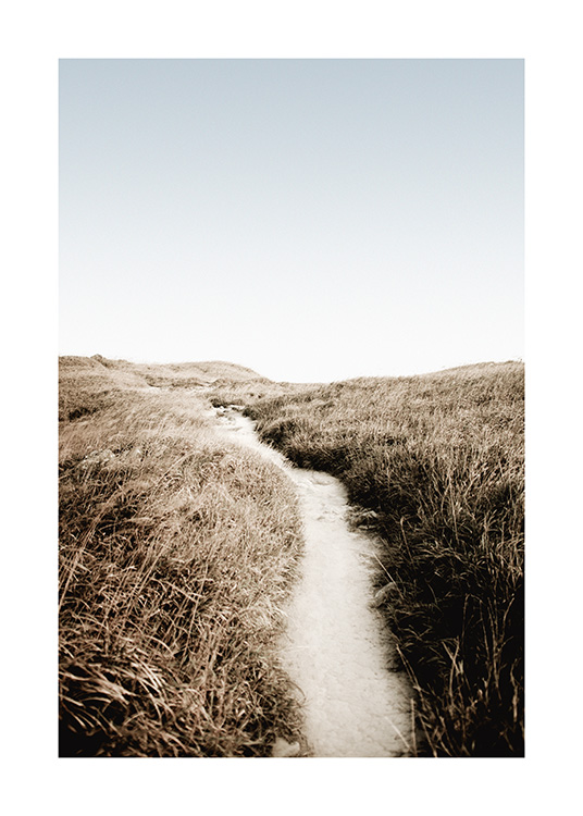  – Photograph of grass surrounding a path made of sand with a blue sky in the background