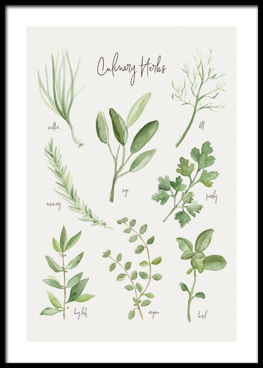 Summer Herbs Poster - Green herbs - desenio.com