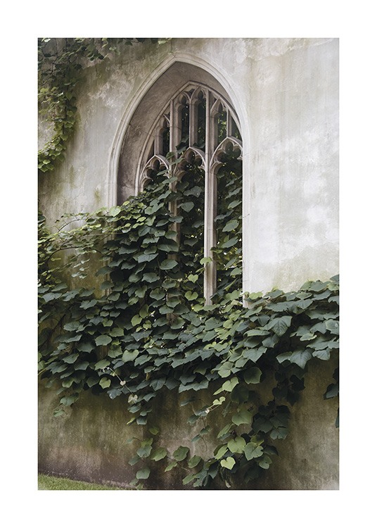  – Photograph of leaves in front of an arched window