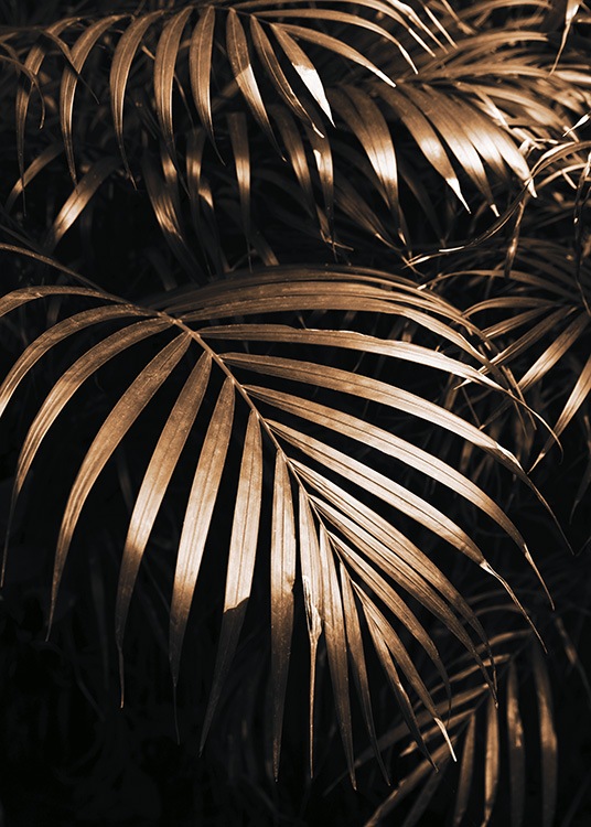  – Photograph of golden palm leaves against a black background