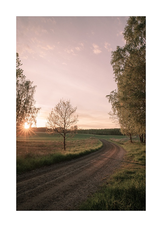  – Photograph of trees and fields surrounding a country road, with the sun and a pastel sky in the background