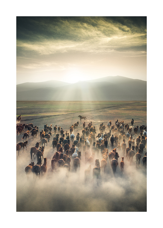  – Photograph of a bunch of horses running across a dusty field with the sun and mountains in the background