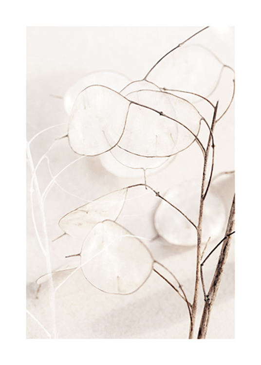  – Photograph with close up of light beige leaves on a branch