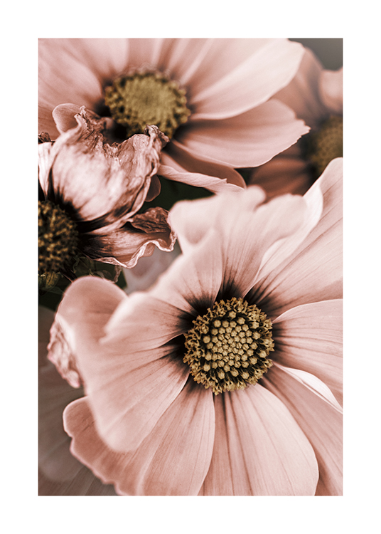 pink flowers