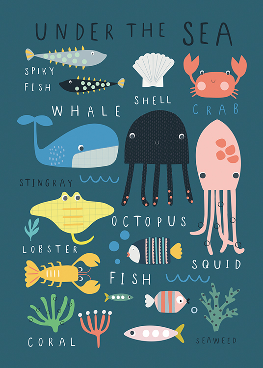  – Graphic illustration of animals and plants of the sea and their names, on a teal colored background
