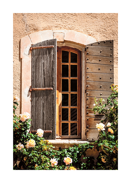  – Photograph of rose bushes in front of a house with a wooden window