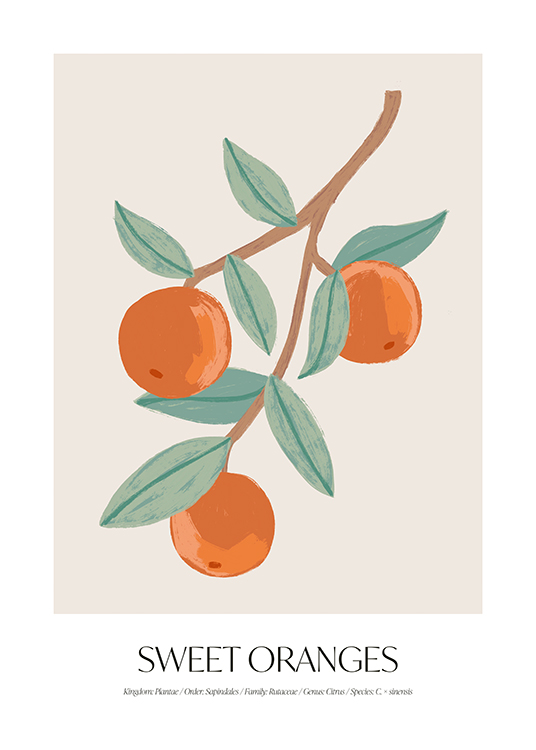  – Illustration of a branch with oranges and leaves on a light beige background