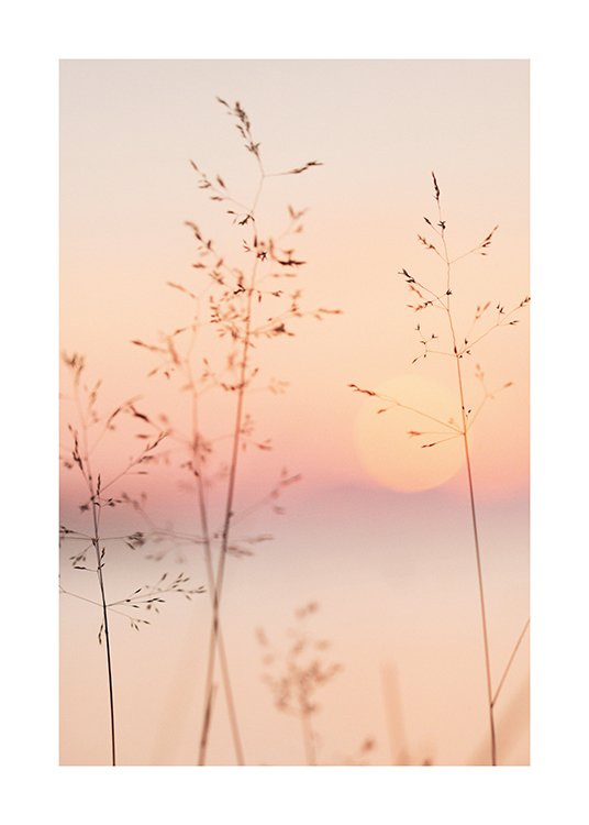  – Photograph of a pastel colored sky and sun behind thin grass straws