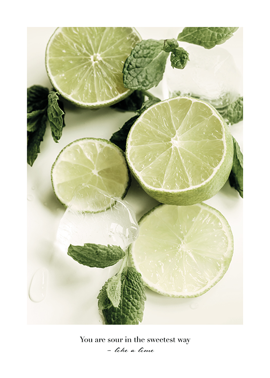  – Photograph of mint leaves, limes and ice cubes with black text underneath