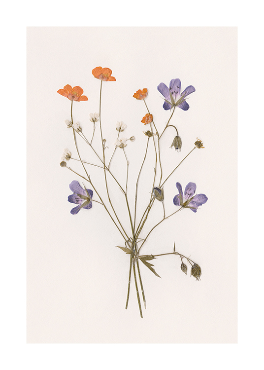  – Photograph of a bouquet with small, pressed flowers laying on a background in light beige