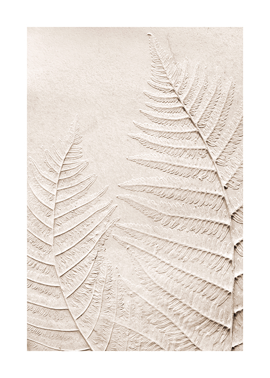  – Photograph of fearn leaves in beige pressed on a beige background