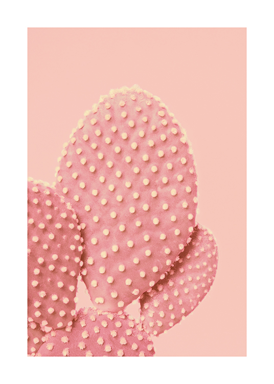  – An image of a pink spotted cactus on a pink background
