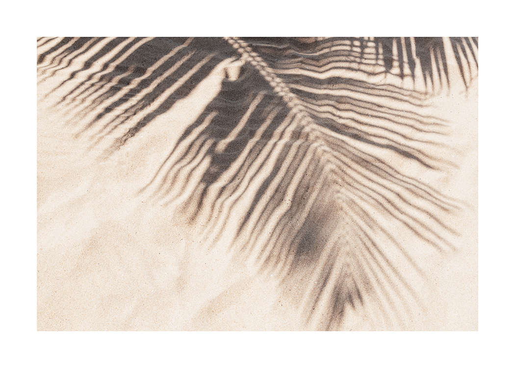  – Photograph of a sand beach with the shadow from a large palm leaf