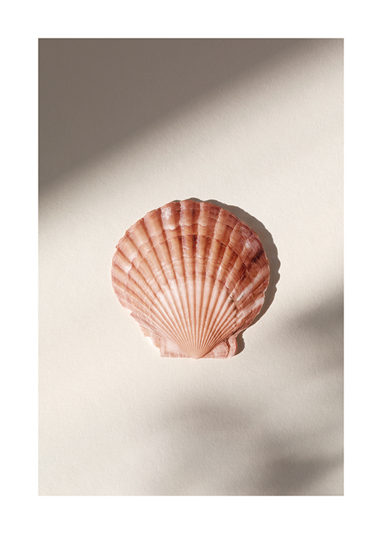  – Photograph of a scallop shell in pink against a grey-beige background