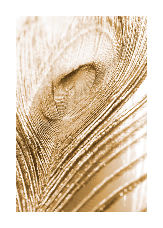  – Photograph with close up of a shimmering peacock feather in gold