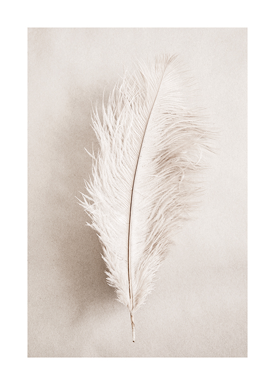  – A photograph of a single white feather