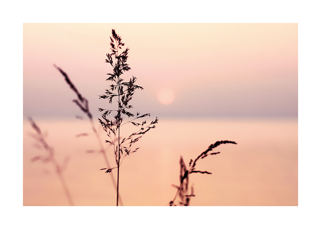  – Photograph of a lilac and pink sunset with grass in the foreground