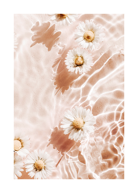  – Photograph of some white flowers floating in water with a light pink background