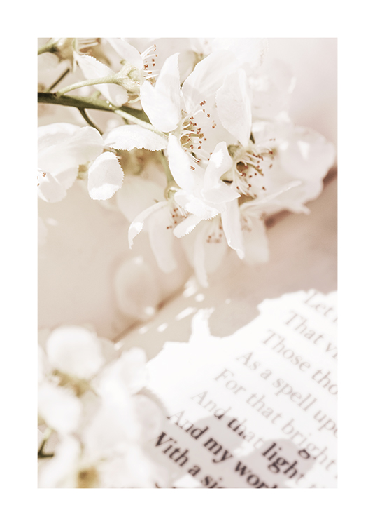  – Photograph with close up of a book page behind white flowers