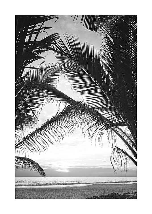  – Photograph in black and white of palm leaves with the ocean between them
