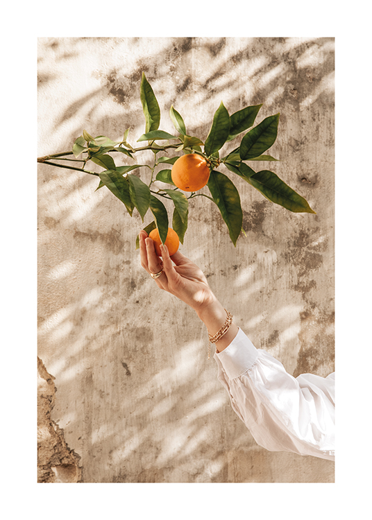  – Image of a girl reaching for an orange on a tree