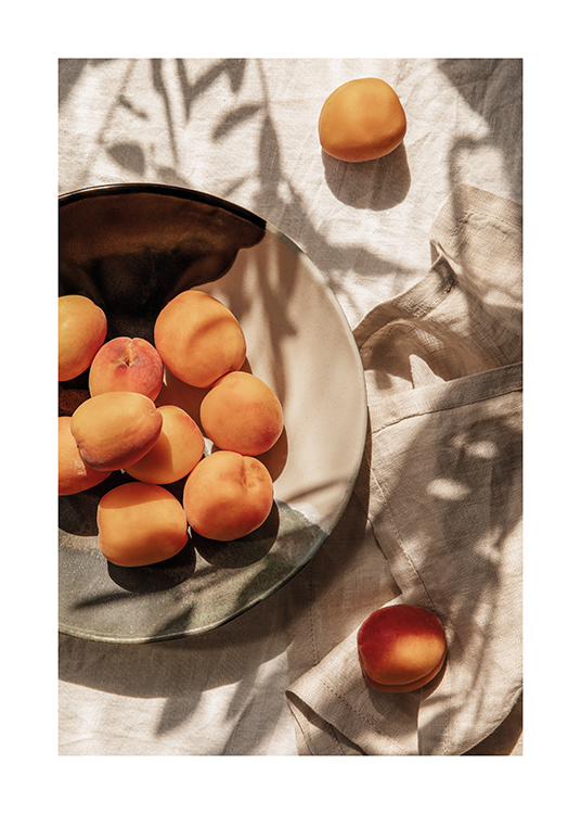  – A plate of freshly picked apricots set on a dining table