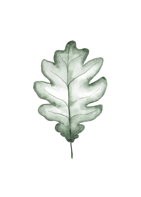  – Illustration in watercolor of a green oak leaf on a white background
