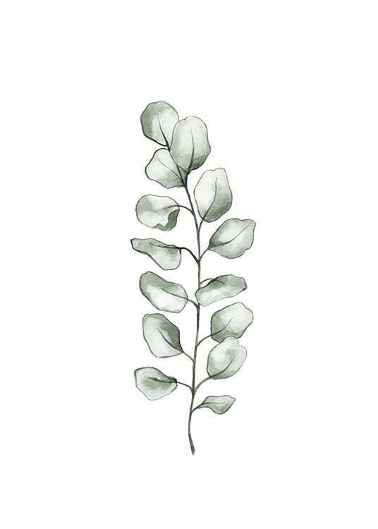 – Illustration of an eucalyptus leaf in green watercolor on a white background