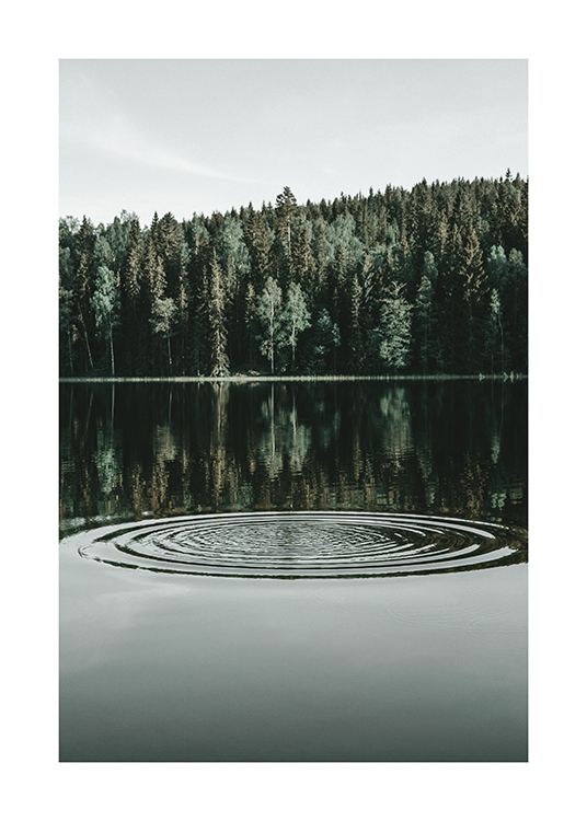  – Photograph of a lake with rings on the water and a forest behind the lake