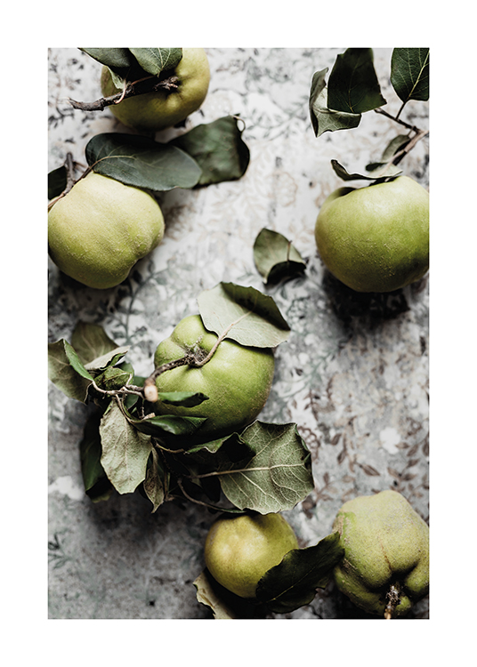  – Photograph of green quince fruit with leaves resting on a grey patterned background
