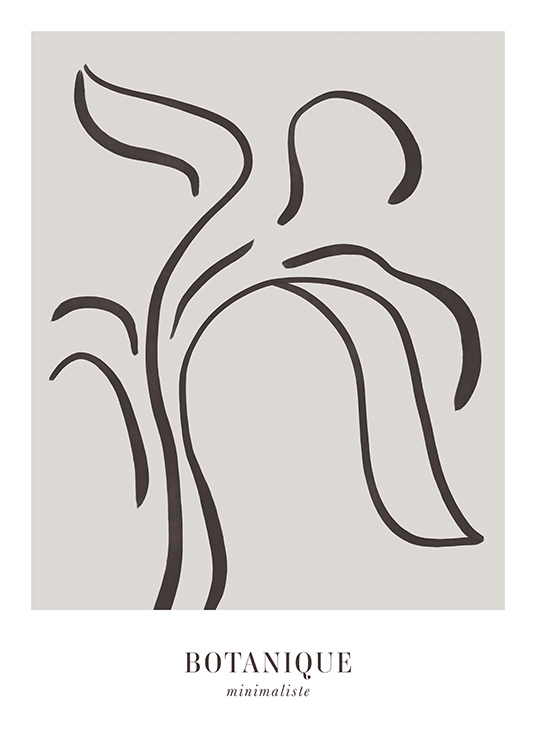  – Illustration in line art of a dark grey abstract flower against a grey background