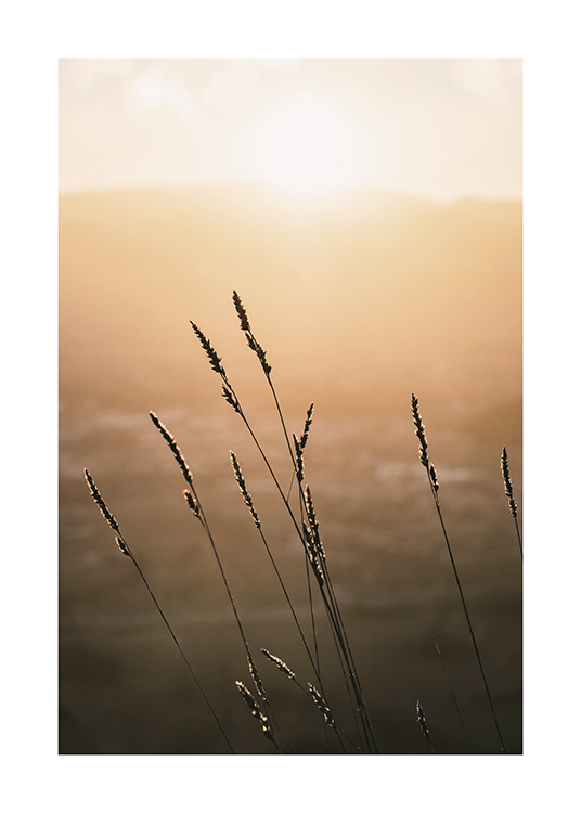  – Photograph of a sunset with grass in the foreground against a blurry background