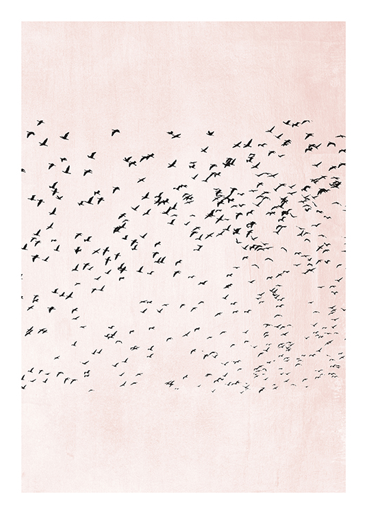 – Graphic illustration with a group of flying birds in front of a structured, pink background