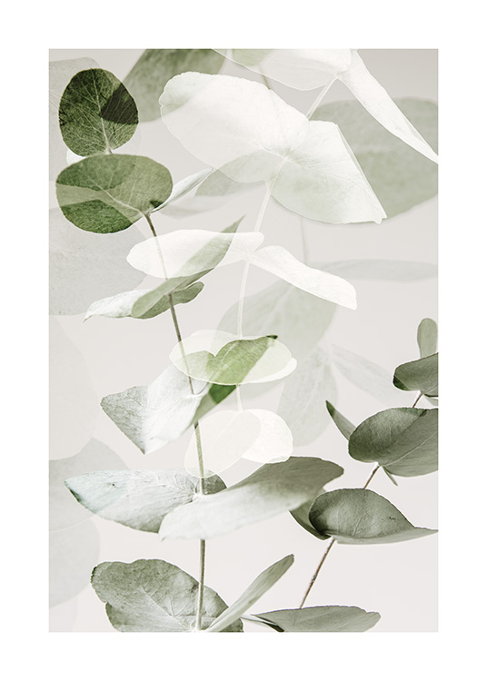 – Clear and faded print of eucalyptus in green