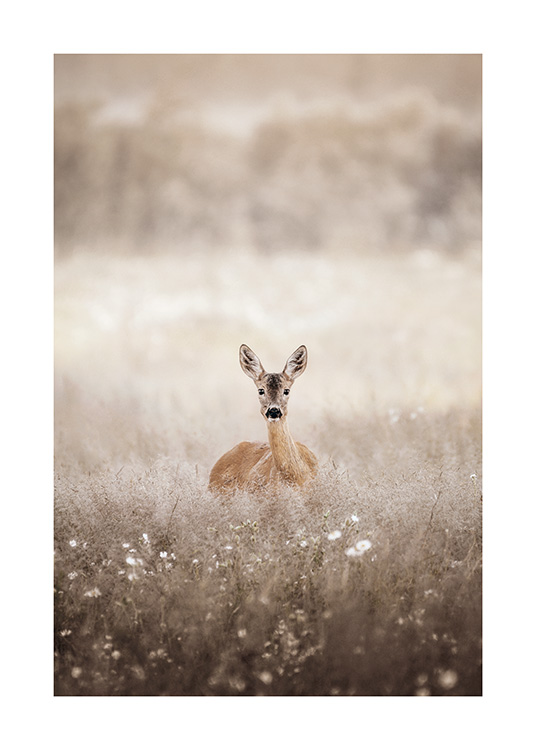 – Animal art print of a deer on a field