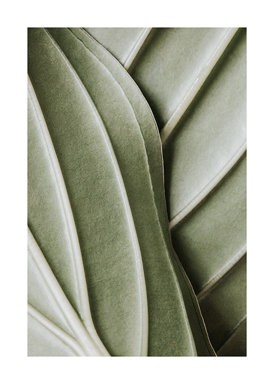  – A detailed photograph of a leaf