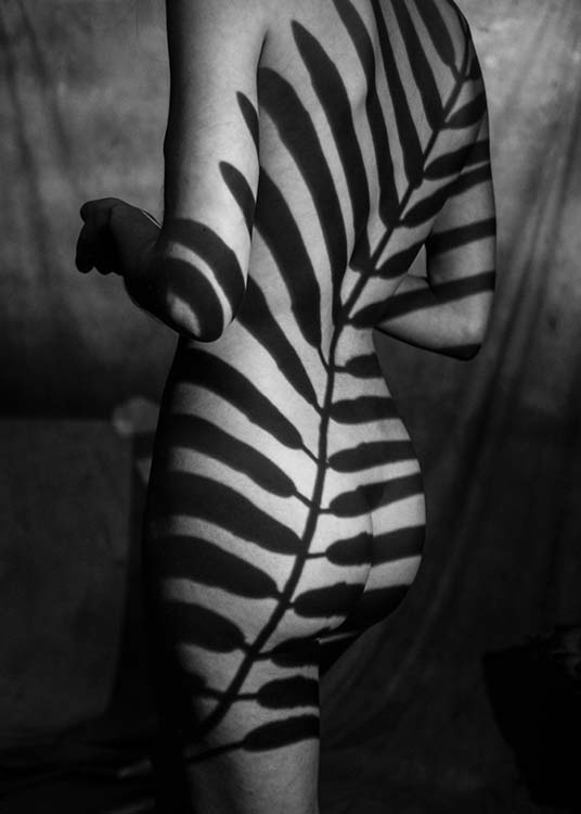 Body & Shadow 2 Poster / Black & white at Desenio AB (2201)