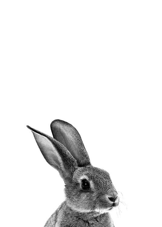 Grey Bunny Poster / Kids posters at Desenio AB (2302)