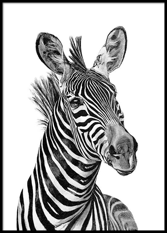Spiksplinternieuw Zebra Black And White Poster QJ-27