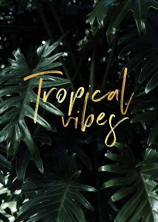 Tropical Poster