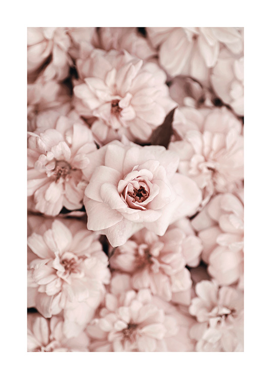 Bed Of Flowers Poster / Photography at Desenio AB (2786)