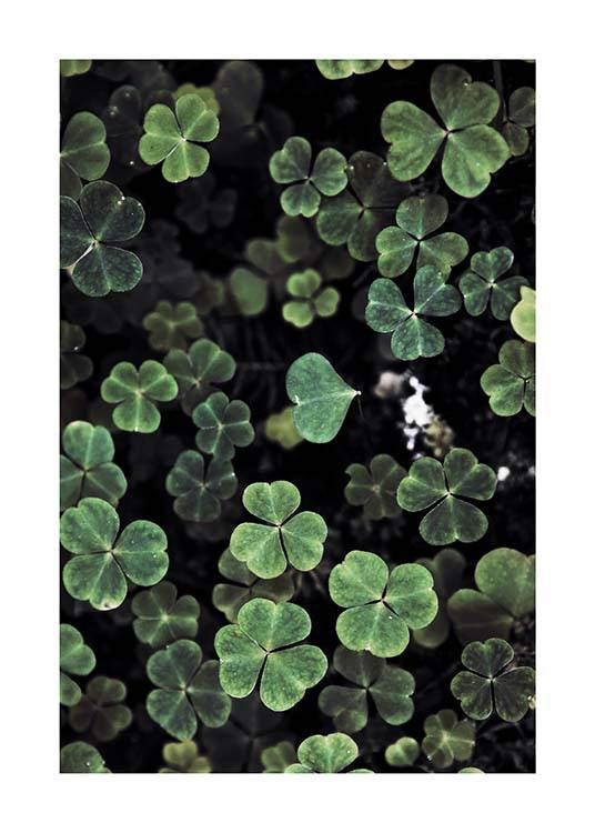 Forest Clover Poster / Photography at Desenio AB (2829)