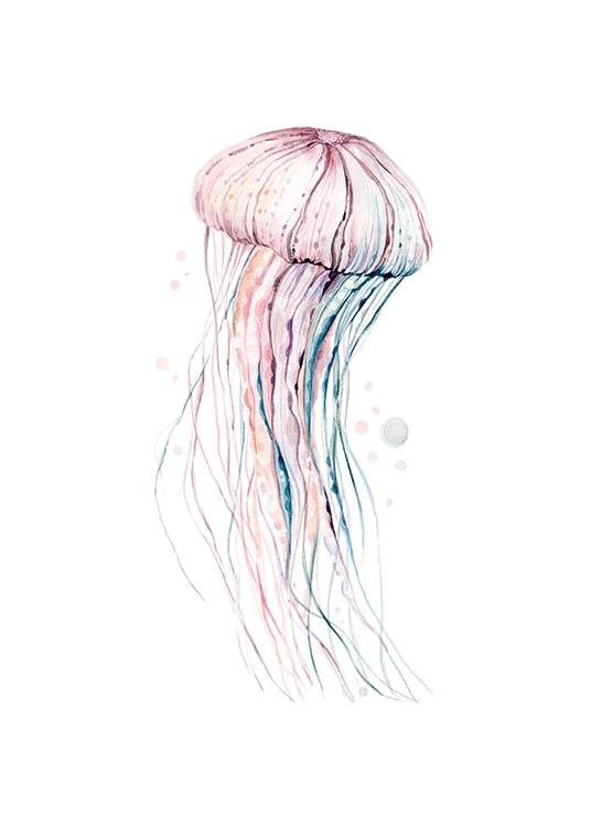 Aquarelle Jellyfish Poster / Insects & animals at Desenio AB (2905)