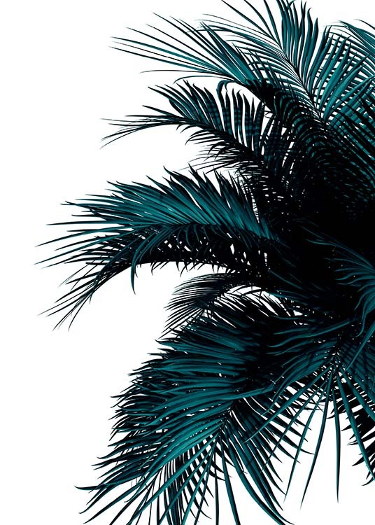 Green Palm Tree Poster / Botanical at Desenio AB (2907)