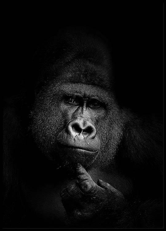 Poster Gorilla Tutu