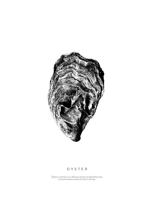 Oyster Poster / Black & white at Desenio AB (3164)