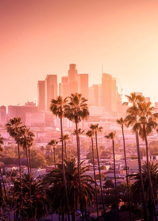 LA Sunset Poster