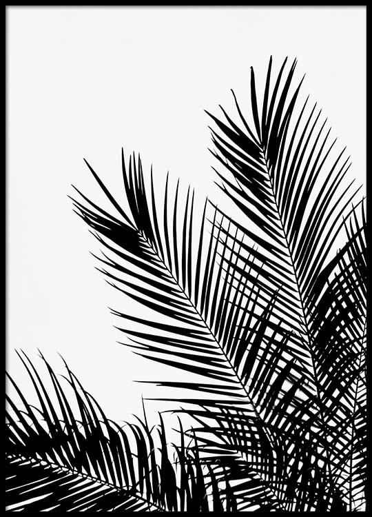 Wonderbaarlijk Black Palm Tree One Poster LI-32