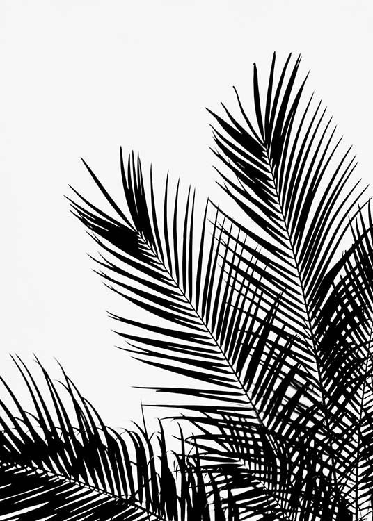 Black Palm Tree One Poster / Black & white at Desenio AB (3523)