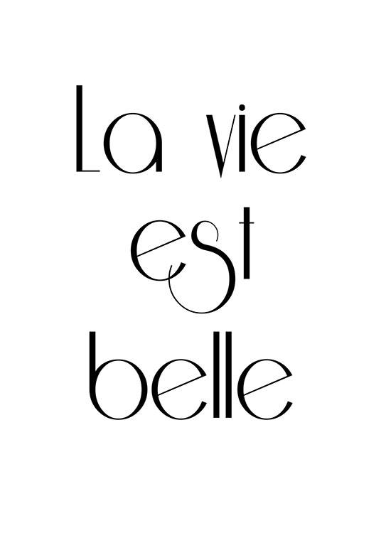 La Vie Est Belle, Affisch / Black & white at Desenio AB (7384)